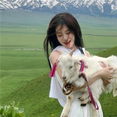 缉私群英粤语